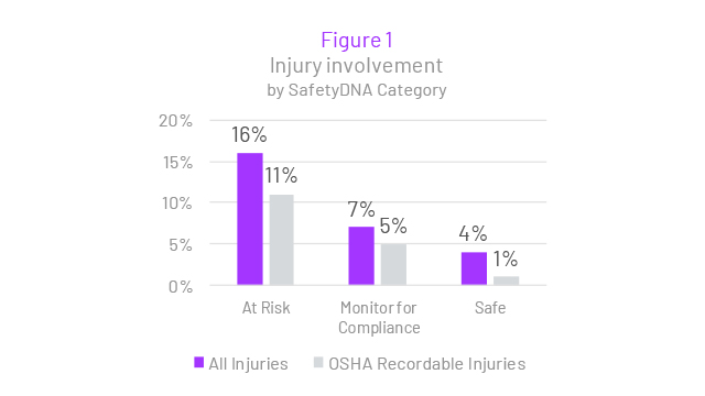 injury involvement by safetydna category