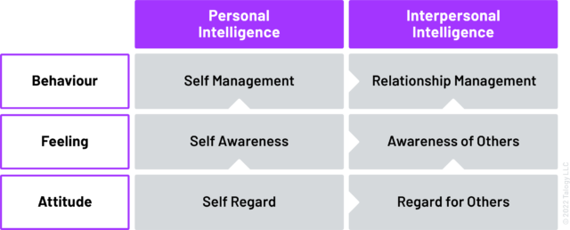 mixed model of emotional intelligence framework table