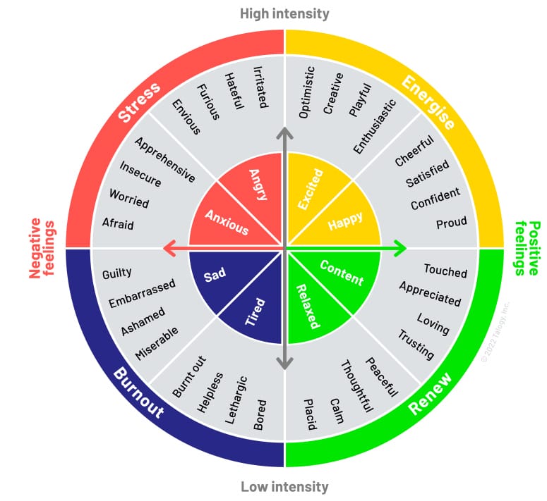 talogy emotion wheel graph