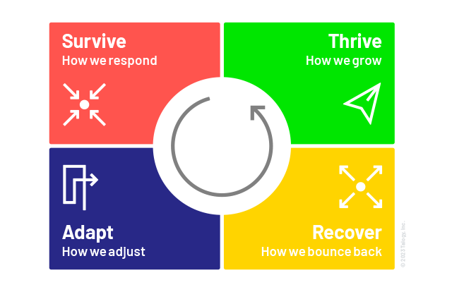 talogy thrive cycle model